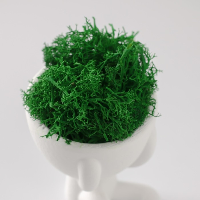 Стабилизированный мох в кашпо из бетона &laquo;Мистер Грин Мидзару&raquo;, мини, 5.5&times;6.5&times;6.5 см, белый