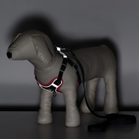 Комплект Sport+, М, поводок 120 x 1,5 см, ОШ 44-48 см, ОГ 51-60 см, розово - чёрный Комплект Sport+, М, поводок 120 x 1,5 см, ОШ 44-48 см, ОГ 51-60 см, розово - чёрный