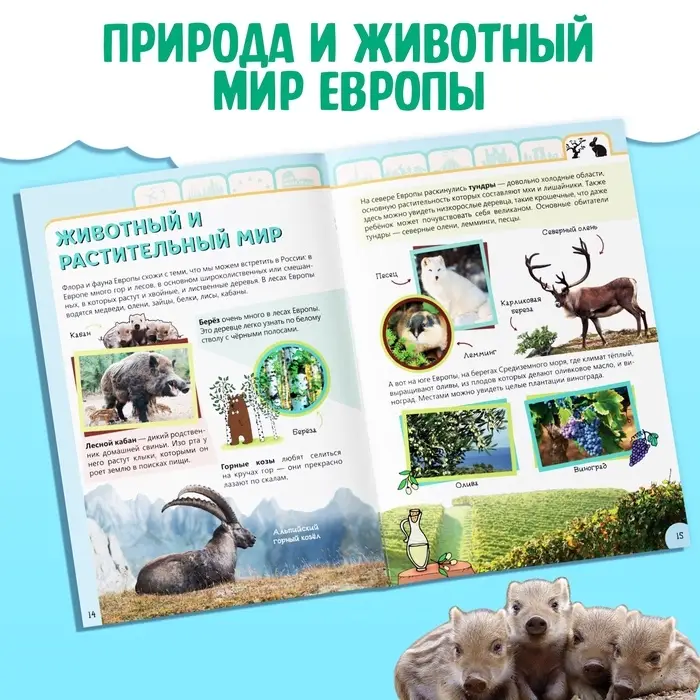 Энциклопедия детская &laquo;Европа&raquo;, 16 стр., 5+