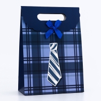 Подарочная коробка-пакет, упаковка с вырубной ручкой, "Мужской галстук" , 19 х 9 х 27 см Подарочная коробка-пакет, упаковка с вырубной ручкой, "Мужской галстук" , 19 х 9 х 27 см