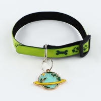 Ошейник светоотражающий &laquo;Лапки&raquo; с подвесом, 30 х 1 см, цвет зелёный