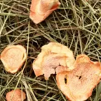 Сено луговое &laquo;Зверьё Моё&raquo;, отборное, ароматное, зеленое, без пыли яблоко, морковь, 500 г