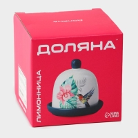 Лимонница Доляна &laquo;Лаванда&raquo;, 9&times;9 см, цвет белый