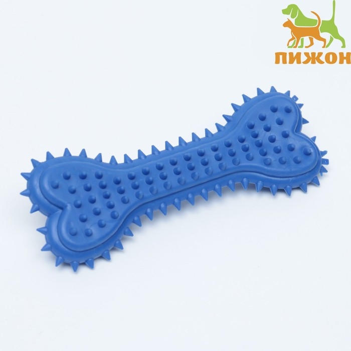 Игрушка жевательная литая Игрушка жевательная литая "Кость для массажа" большая, 15 х 6 х 2,5 см, синяя