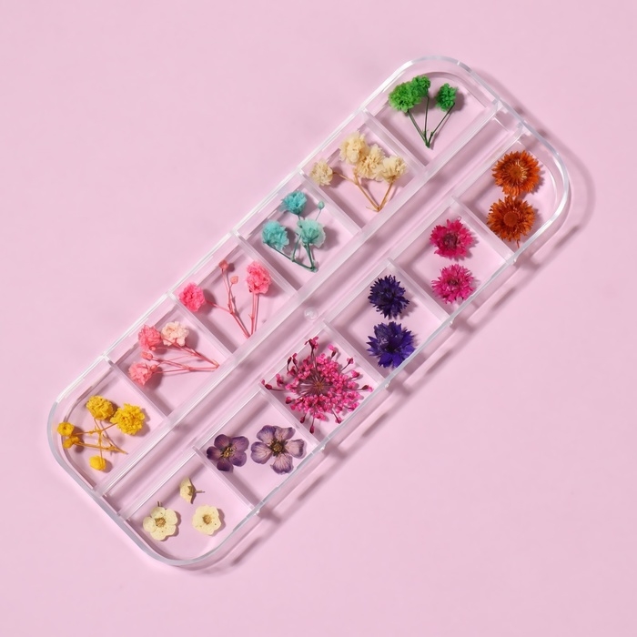 Сухоцветы для декора ногтей «Ассорти», объёмные, 12 видов, в футляре, разноцветные Сухоцветы для декора ногтей «Ассорти», объёмные, 12 видов, в футляре, разноцветные