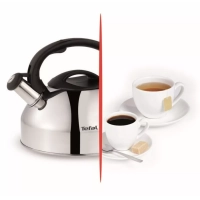 Чайник для плиты из нержавеющей стали C7922024, 3 л