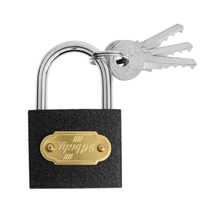 Замок навесной ТУНДРА ZN1038, 38 мм Замок навесной ТУНДРА ZN1038, 38 мм