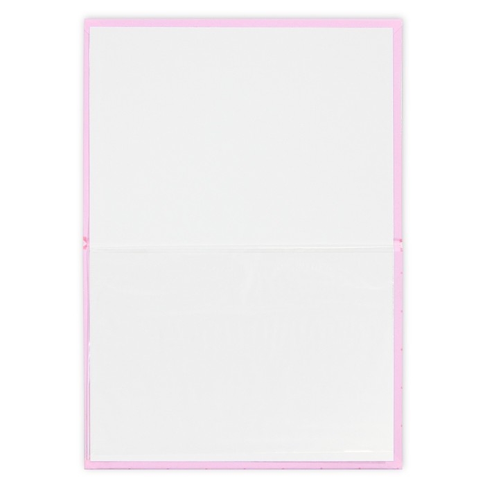 Папка для свидетельства о рождении &laquo;Нашей принцессы&raquo;, А5.