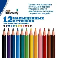 Карандаши 12 цветов BIC Color Up, для подростков и взрослых, трёхгранные, микс