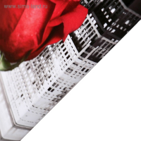 Картина модульная на подрамнике "Леди на фоне города" 2шт-21*54; 2шт-21*61; 1шт-21*68см