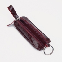 Ключница на молнии, длина 10 см, кольцо, цвет бордовый Ключница на молнии, длина 10 см, кольцо, цвет бордовый
