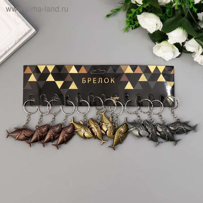 Брелок металл Брелок металл "Акула" МИКС 2,7х4,7 см