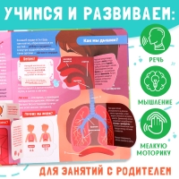 Книга с окошками &laquo;Как устроено моё тело?&raquo;, 55 окошек, энциклопедия