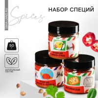 Набор специй &laquo;Для гастрономических путешествий&raquo;: специи для макарон и риса, морковь по-корейски, мексиканская, 3 шт. х 100 г.