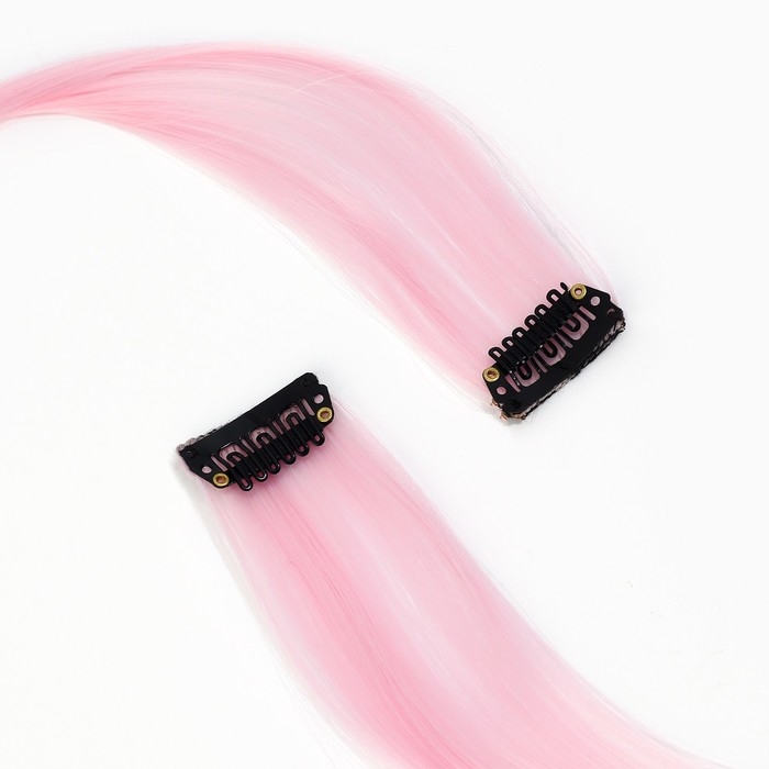 Заколка для волос, прядь &laquo;Нежный кусь&raquo;, 2 шт