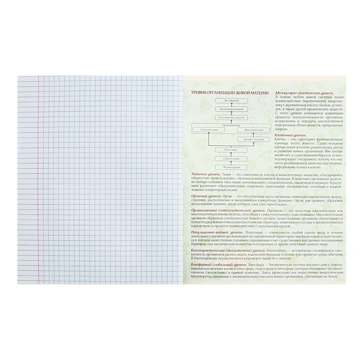 Тетрадь предметная Calligrata TOP "Журнал", 48 листов в клетку Биология, со справочным материалом, картонная обложка, глянцевая ламинация, блок офсет