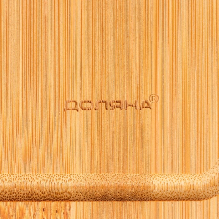 Доска разделочная Доляна &laquo;Идея&raquo;, 35&times;25 см, бамбук