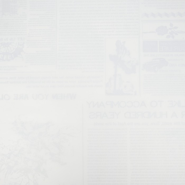 Пленка для цветов "Новости", белый, 58 см х 5 м