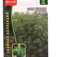 Семена цветов Сосна Мугус кустовая  10 шт.  12.29 г.