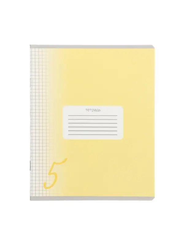 Комплект тетрадей из 10 штук, 24 листа в клетку Calligrata "Пятёрка", обложка мелованный картон, ВД-лак, блок офсет, 5 видов по 2 штуки