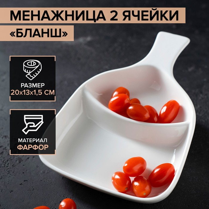Менажница фарфоровая 2 ячейки Magistro &laquo;Бланш&raquo;, 20&times;13&times;1,5 см, цвет белый