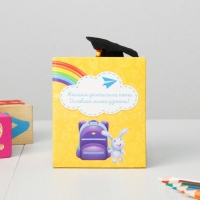 Мягкая игрушка и орден на Выпускной &laquo;Выпускник детского сада&raquo;, подарочный набор