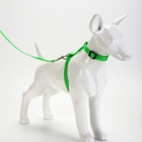 Комплект для кошек, ширина 1,5 см, ОШ 16,5-27 см, ОГ 21-35 см, поводок 120 см, зелёный