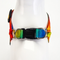 Комплект "Радуга", капрон, поводок 120 х 1,5 см, ОГ 24-34 см, разноцветный