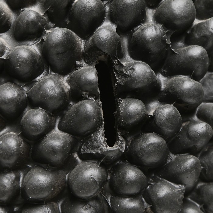 Копилка "Ежик большой с грибом" 23х18х33см