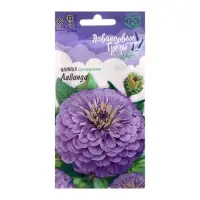 Семена цветов Цинния Лаванда "Лавандовые грёзы", ц/п,  0,5 г