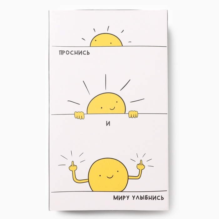 Набор мужских носков KAFTAN Набор мужских носков KAFTAN "Проснись", р. 41-44 (27-29 см), 2 пары