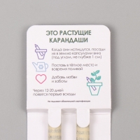 Растущие подарочные карандаши mini "Маргаритка + гвоздика" набор 2 шт.