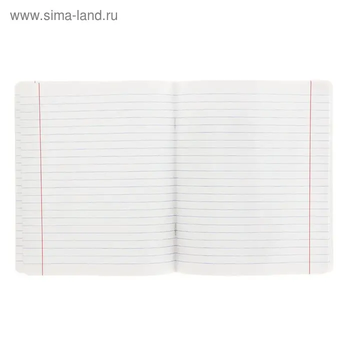 Тетрадь 18 листов линейка &laquo;Великолепная пятёрка&raquo;, МИКС