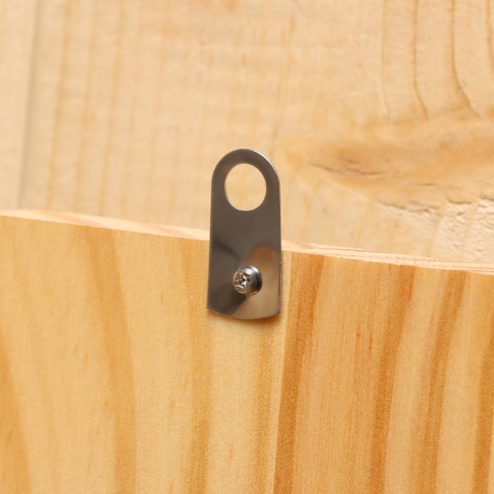 Термометр для бани и сауны Термометр для бани и сауны "Банщик" 25,5х12,5 см, деревянный, Добропаровъ