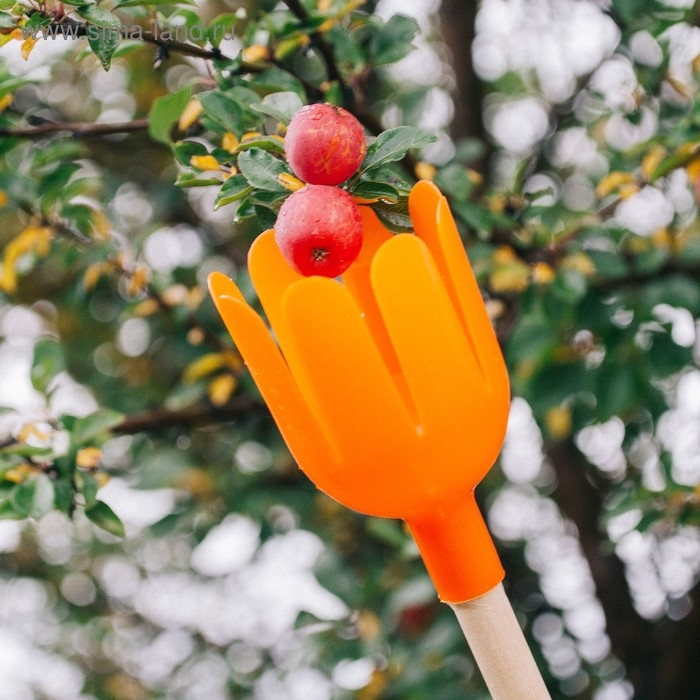 Плодосъемник, d = 11 см, под черенок диаметром 25 мм, &laquo;Тюльпан&raquo;, МИКС