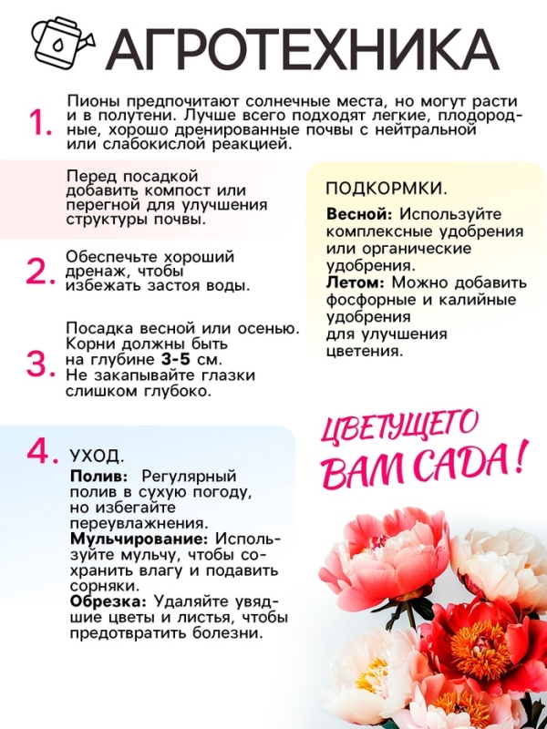 Пион Alexander Fleming, корневище в пакете с торфогрунтом, р-р 3/5, 1 шт.