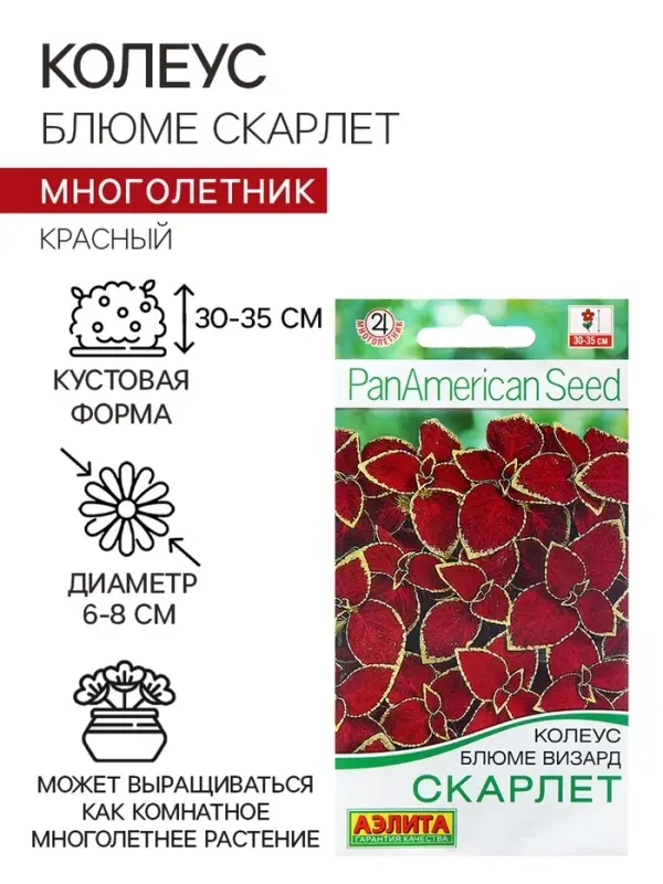 Семена Колеус блюме Скарлет   Мн Сел. PanAmerican Золотая серия Ц/П 5 шт