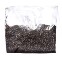 Лилии Трубчатые смотрящие вверх "Pink Planet", р-р 14/16, 2 шт, Весна 2025, ЭКОНОМ,