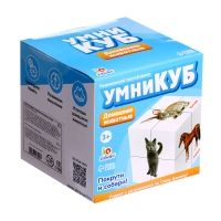 Развивающий трансформер &laquo;Умникуб: Домашние животные&raquo;, 3+
