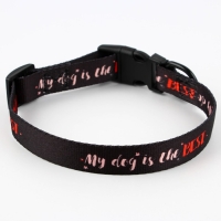 Ошейник My dog is the best, застёжка - фастекс, 2 см 25-40 см Ошейник My dog is the best, застёжка - фастекс, 2 см 25-40 см