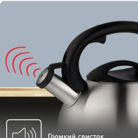 Чайник для плиты C7921024 из нержавеющей стали, со свистком