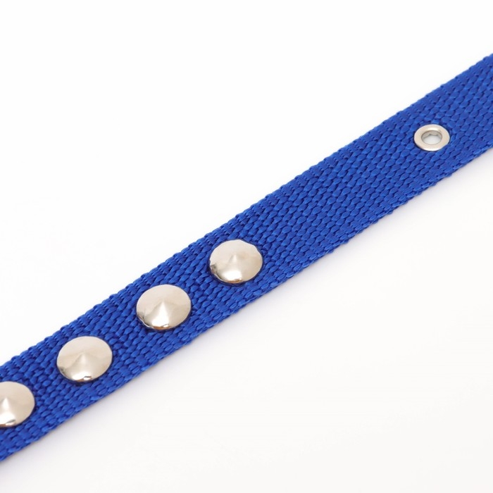 Ошейник клёпаный, 40,5 х 2 см, ОШ 26-34 см, полиэстер, синий Ошейник клёпаный, 40,5 х 2 см, ОШ 26-34 см, полиэстер, синий