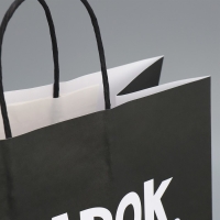 Пакет подарочный крафтовый, упаковка, &laquo;Киса&raquo;, 28 х 32 х 15 см