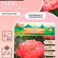 Пион Coral Charm, корневище в пакете с торфогрунтом, р-р 3/5, 1 шт.