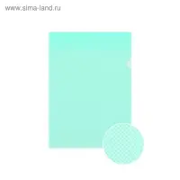 Папка-уголок А4, 160 мкм, ErichKrause Glossy Classic, прозрачная, микс