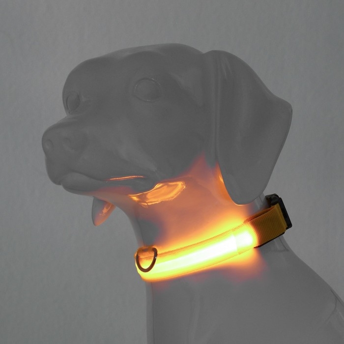 Ошейник с подсветкой размер L, ОШ 45-52 х 2,5 см 3 режима свечения жёлтый