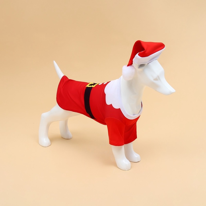 Новый год. Толстовка с колпаком Santa, S (ДС 25, ОГ 35 см)