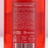 Гель для душа, интенсивное увлажнение, 500 мл, аромат пряного глинтвейна, Новый Год Гель для душа, интенсивное увлажнение, 500 мл, аромат пряного глинтвейна, Новый Год