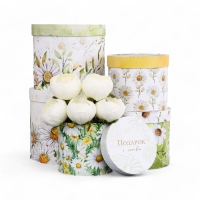 Набор шляпных коробок для цветов 5 в 1, упаковка подарочная, &laquo;Ромашки&raquo;, 16 х 14 см - 22 х 19,5 см