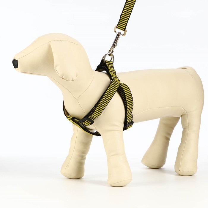 Комплект амуниции рельефный, поводок 120 х 2 см, ОГ 44-50 см, жёлто-чёрный